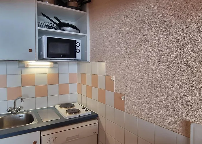 Apartment Confortable Acces Direct Pistes Pour 4 Pers A Aime 2000 - Fr-1-181-2602